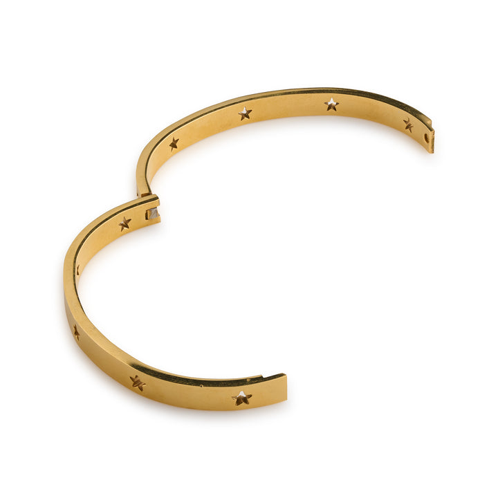 Leia - Star Bangle Armband RVS