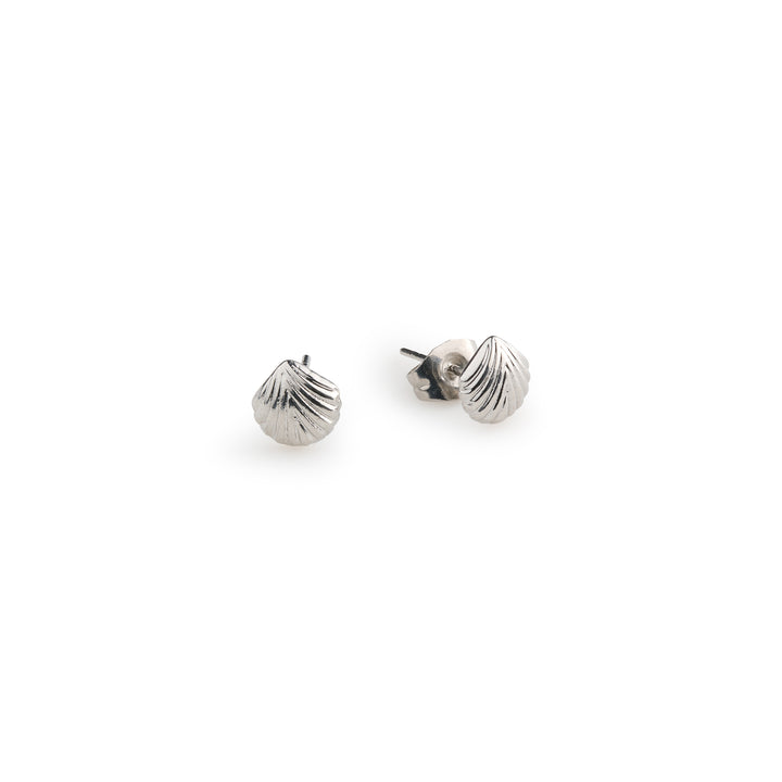 Boucles d'oreilles clous Ane - Coquillage en acier inoxydable