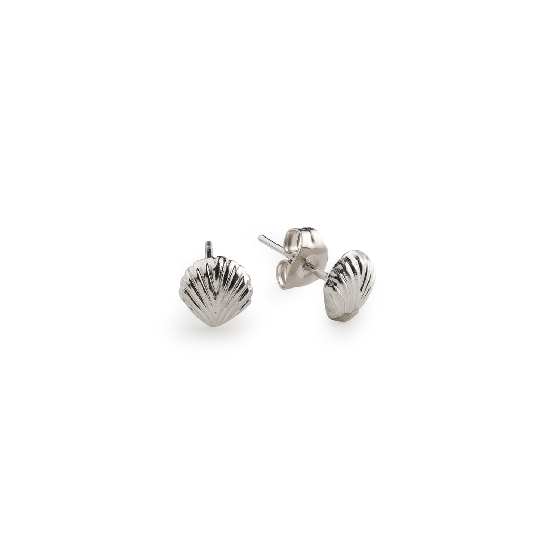 Boucles d'oreilles clous Ane - Coquillage en acier inoxydable