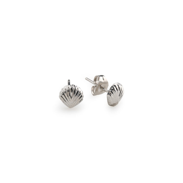 Boucles d'oreilles clous Ane - Coquillage en acier inoxydable