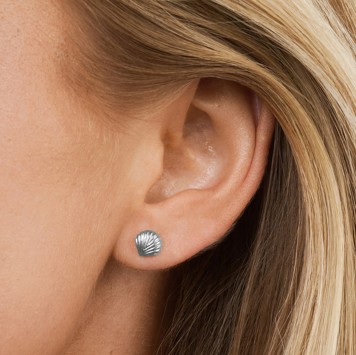 Boucles d'oreilles clous Ane - Coquillage en acier inoxydable