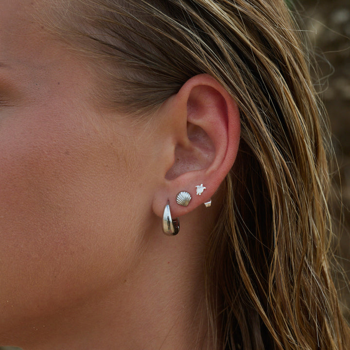 Boucles d'oreilles clous Ane - Coquillage en acier inoxydable