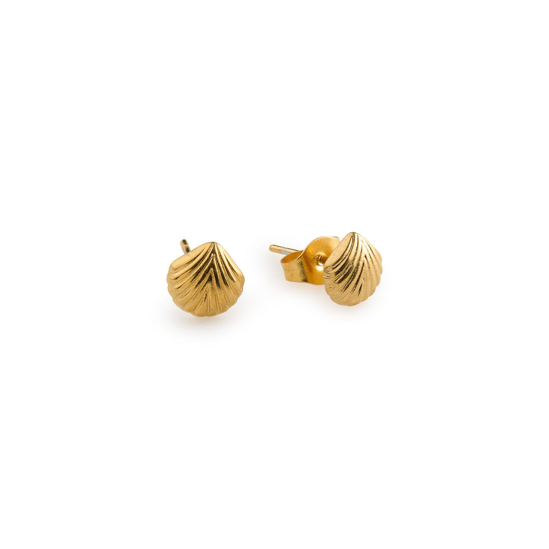 Boucles d'oreilles clous Ane - Coquillage en acier inoxydable