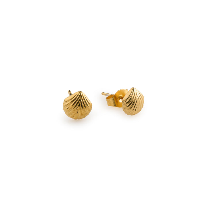 Boucles d'oreilles clous Ane - Coquillage en acier inoxydable