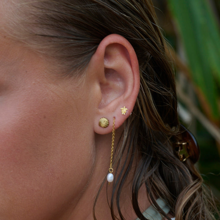 Boucles d'oreilles clous Ane - Coquillage en acier inoxydable
