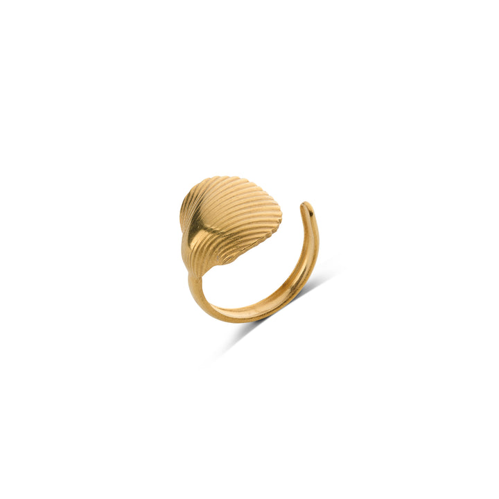 Ane - Seashell Open Ring Stainless Steel