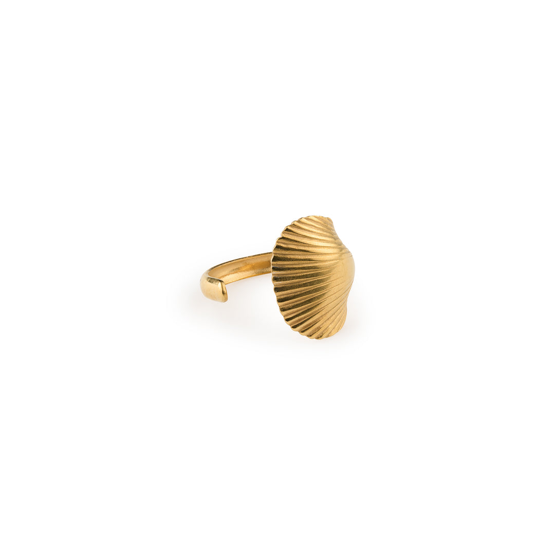 Ane - Seashell Open Ring Stainless Steel