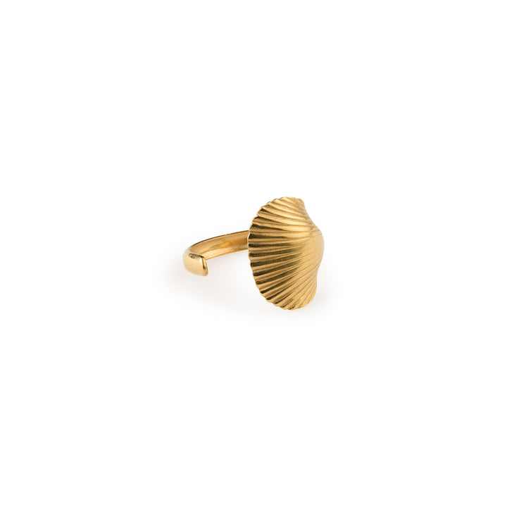 Ane - Seashell Open Ring Stainless Steel