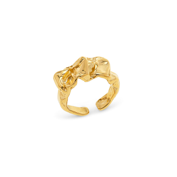 Siri - Chunky Statement Ring Roestvrij Staal