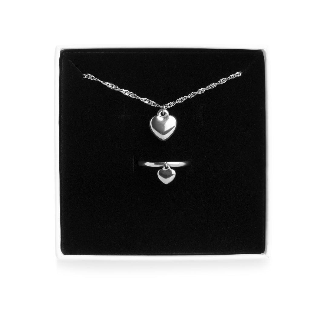 Hartketting- en ringenset van roestvrij staal