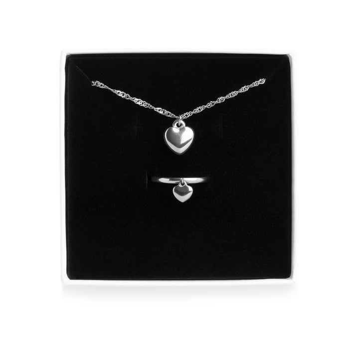 Hartketting- en ringenset van roestvrij staal