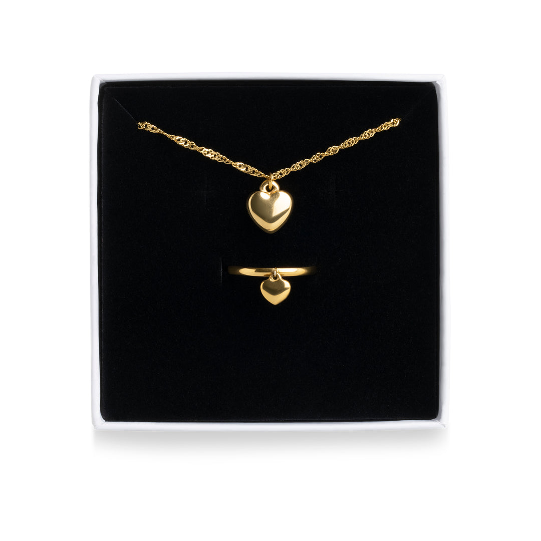 Hartketting- en ringenset van roestvrij staal