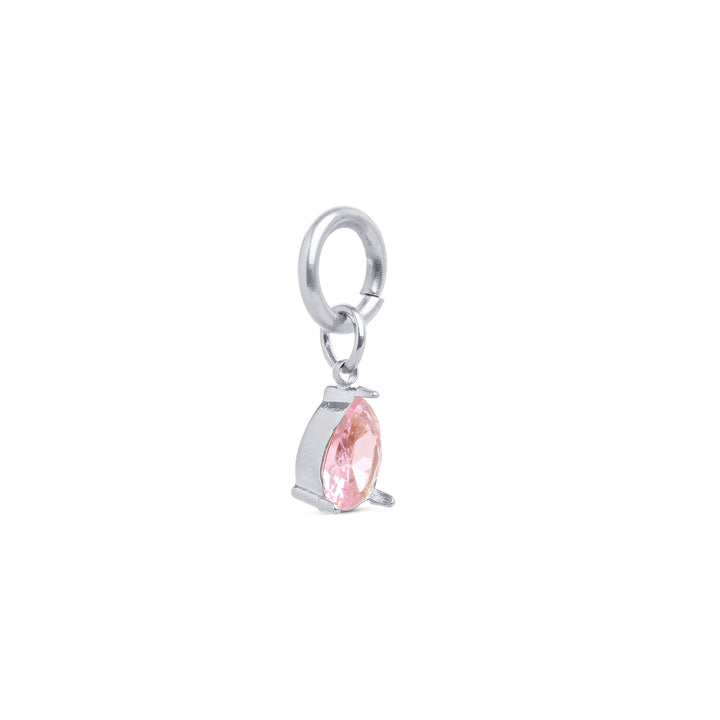 Wren - Crystal Charm Roestvrij Staal
