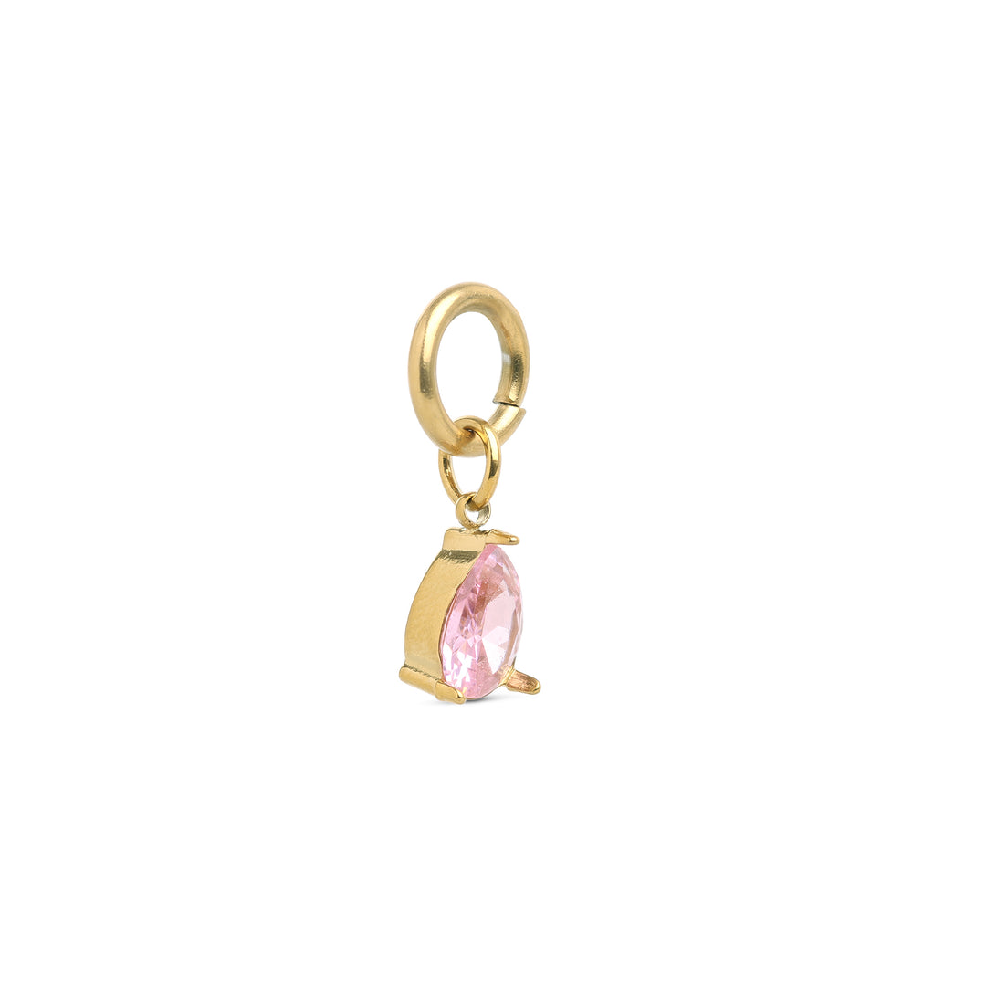 Wren - Crystal Charm Roestvrij Staal