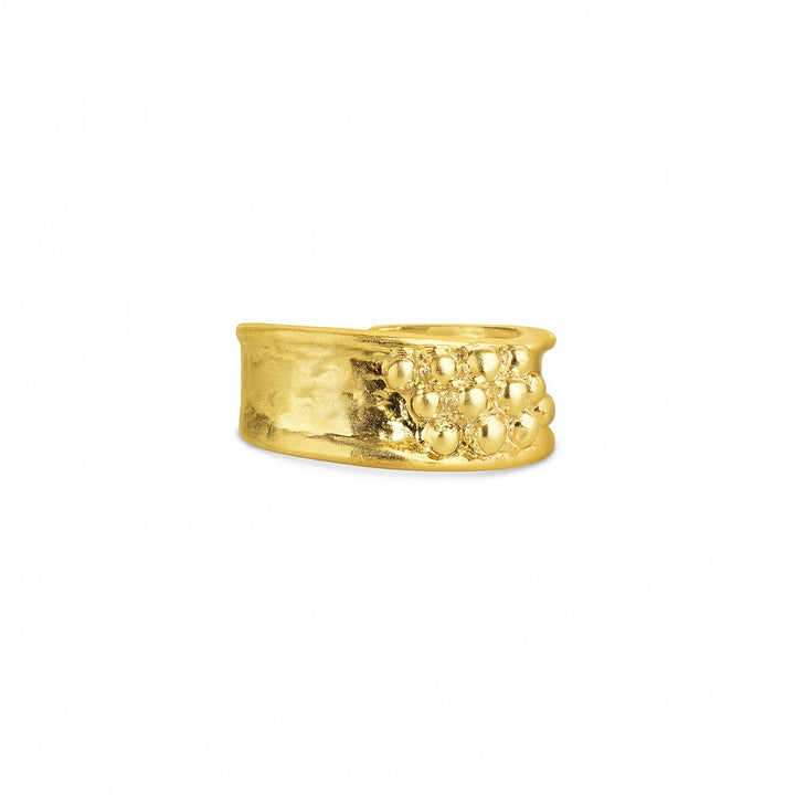 Iben – statement ring van roestvrij staal, goud | Timi of Sweden