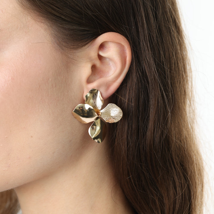 Laila - Boucles d&